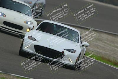 media/Dec-19-2025-Lucky Dog Racing (Fri) [[3b7b1b5fc8]]/Intermediate Low/Session 3 Turn 2 Speed Pan/